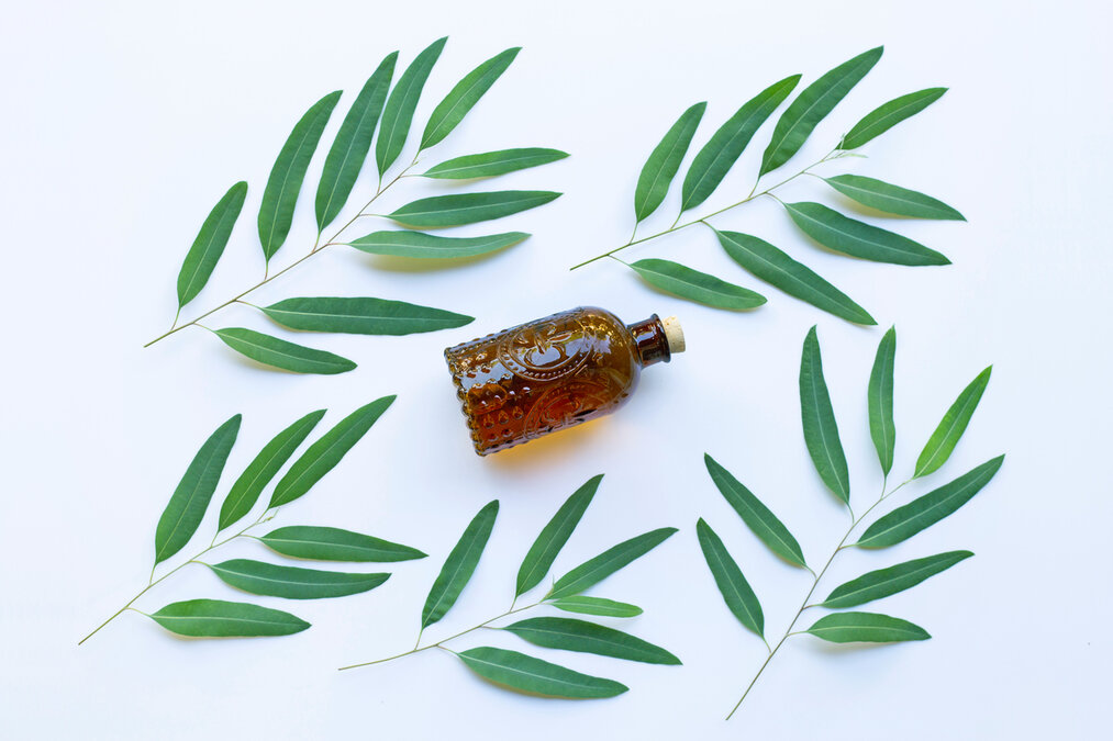 El Aceite de Árbol de Té en el Cuidado del Cabello