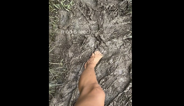 Aventura de Vacaciones en Australia
