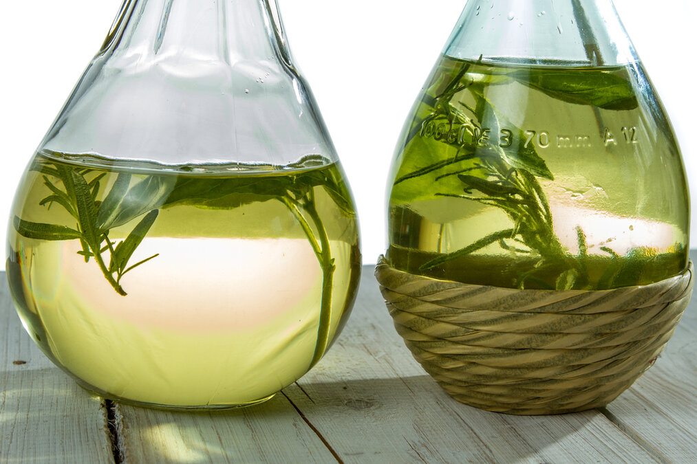 Beneficios del Romero en el Cuidado del Cabello y Aceites Naturales
