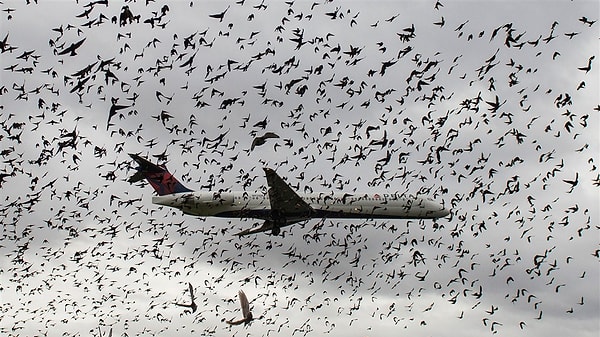 Capacidad de aterrizaje de los aviones en caso de fallo del motor