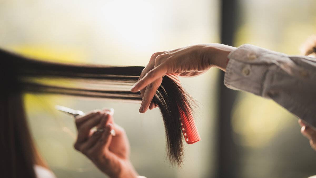 Últimos Modelos de Cabello de Tendencia: La Influencia de TikTok